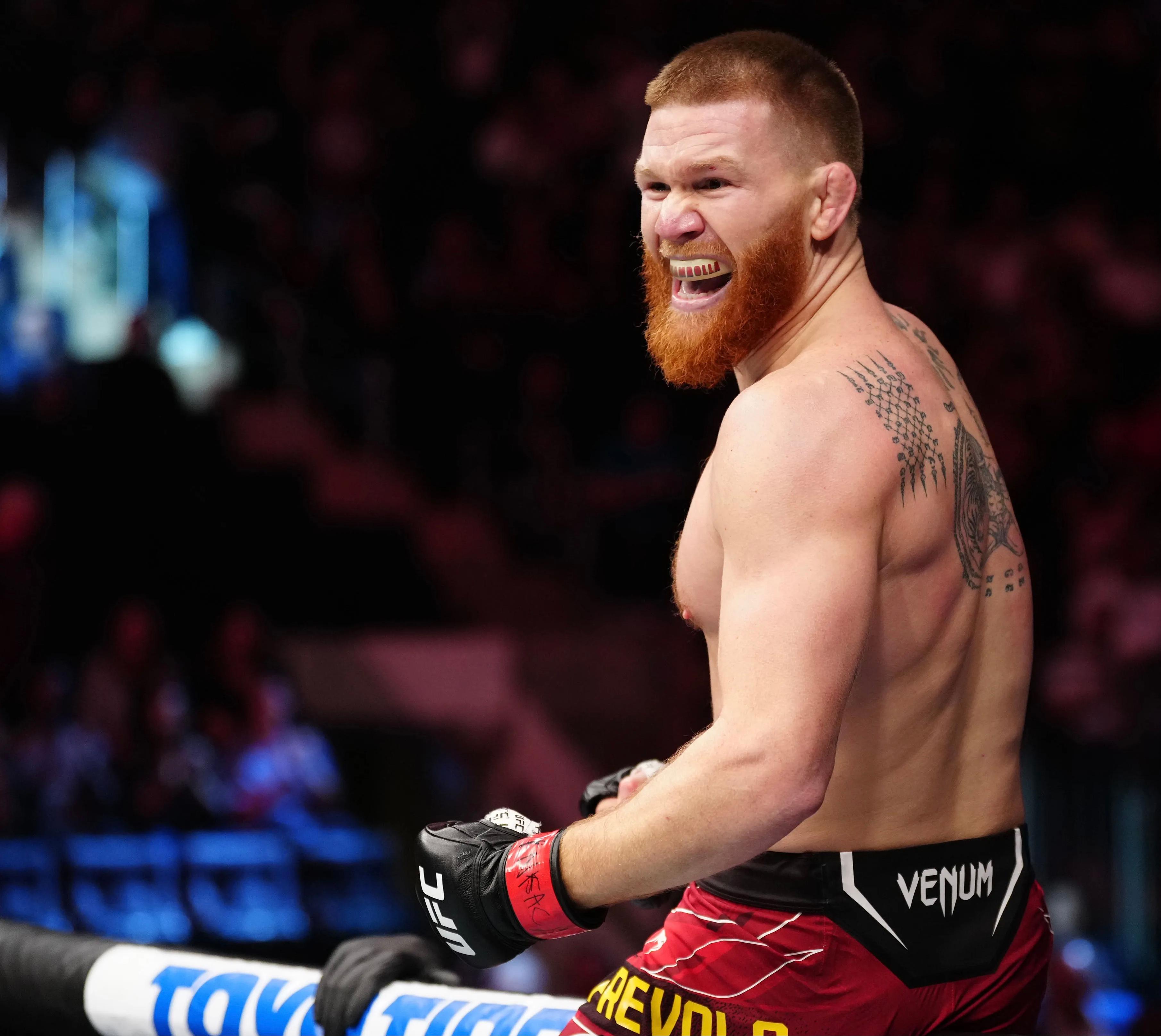 Matt Frevola profile photo