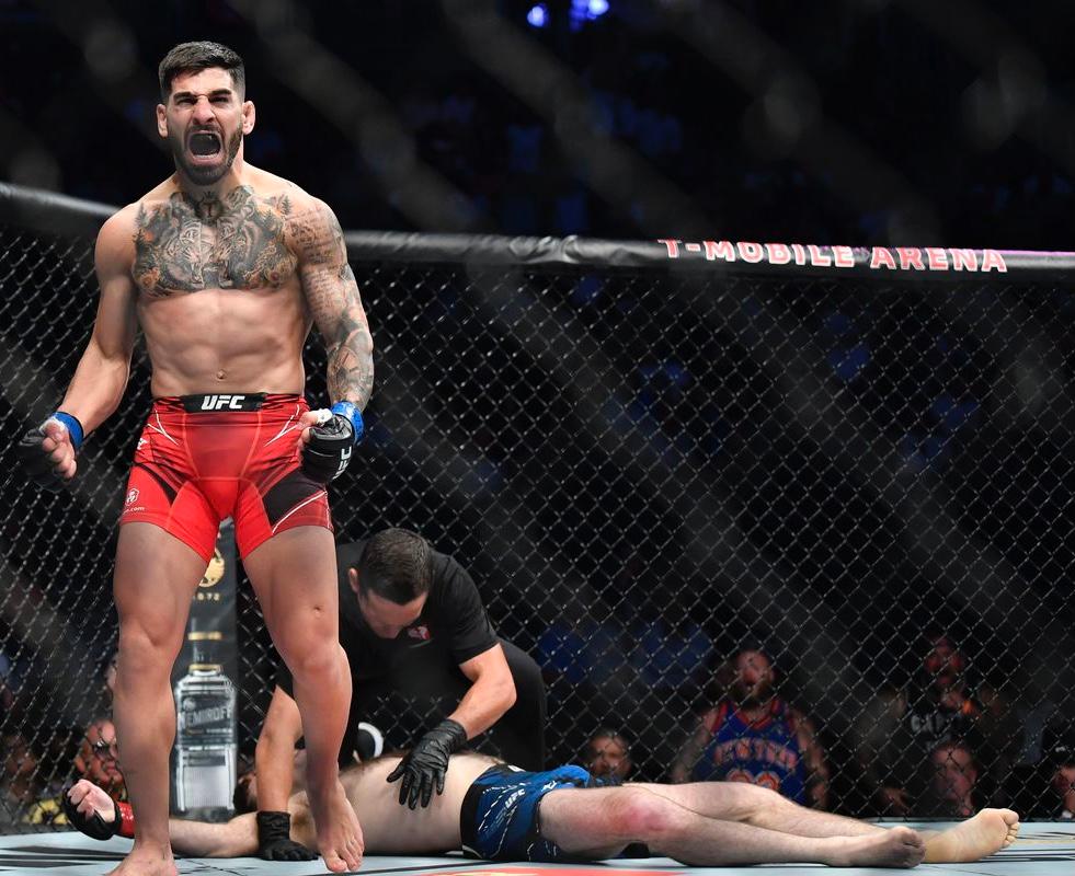 Ilia Topuria profile photo