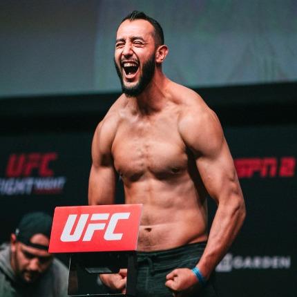 Dominick Reyes profile photo