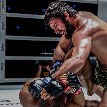 Shamil Erdogan profile photo