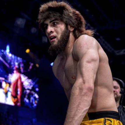 Samat Mamedov profile photo