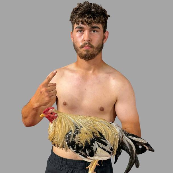 Trevor Neff profile photo